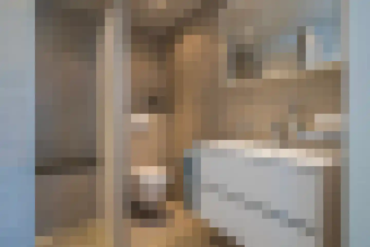 Monnetstraat 23 Zevenaar thumbnail 5