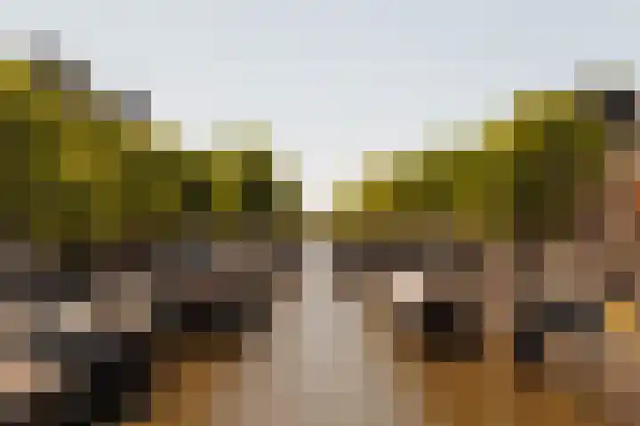 Monnetstraat 31 Zevenaar thumbnail 21