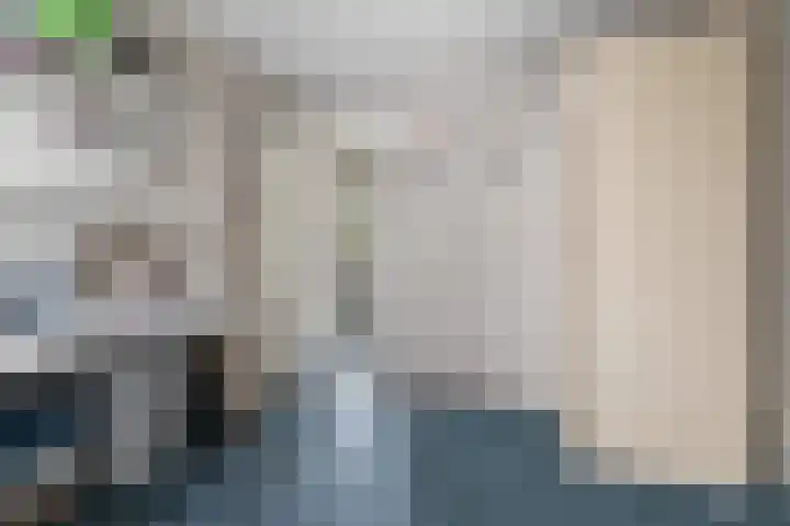 Monnetstraat 31 Zevenaar thumbnail 29