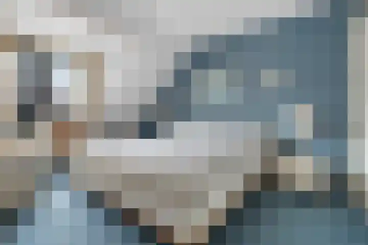 Monnetstraat 31 Zevenaar thumbnail 32