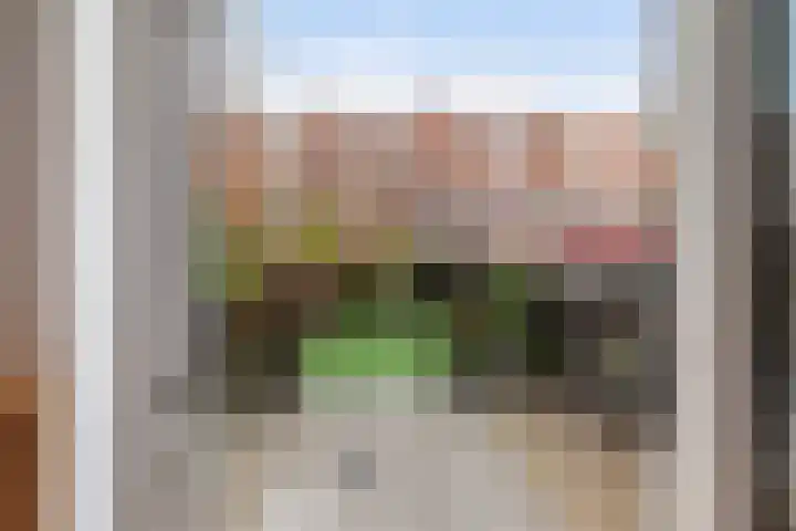 Monnetstraat 31 Zevenaar thumbnail 35