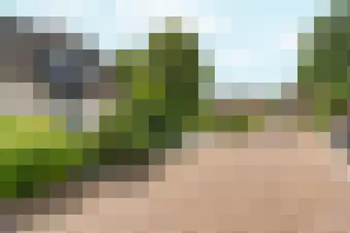 Monnetstraat 31 Zevenaar thumbnail 46
