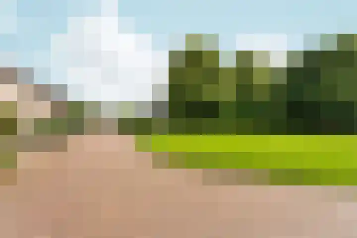 Monnetstraat 31 Zevenaar thumbnail 56