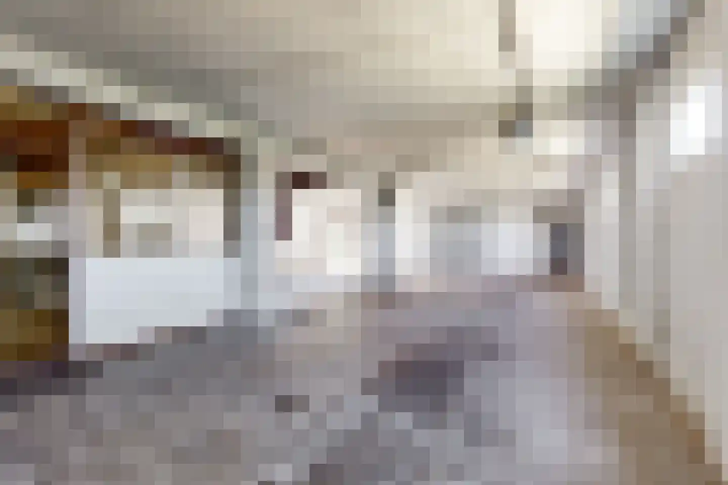 Monnickendammerjaagweg 5 Edam thumbnail 18