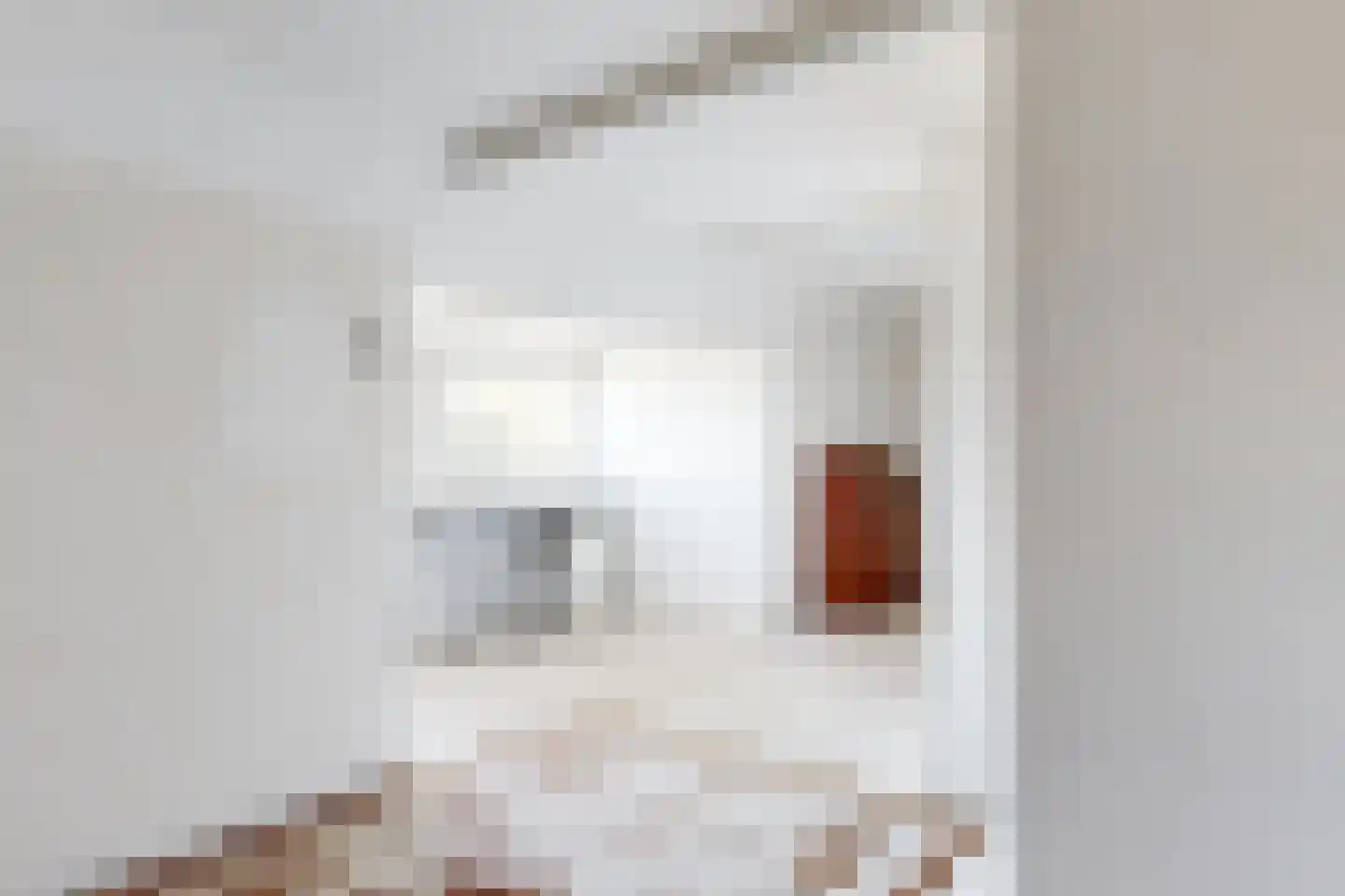 Monnickendammerjaagweg 5 Edam thumbnail 25