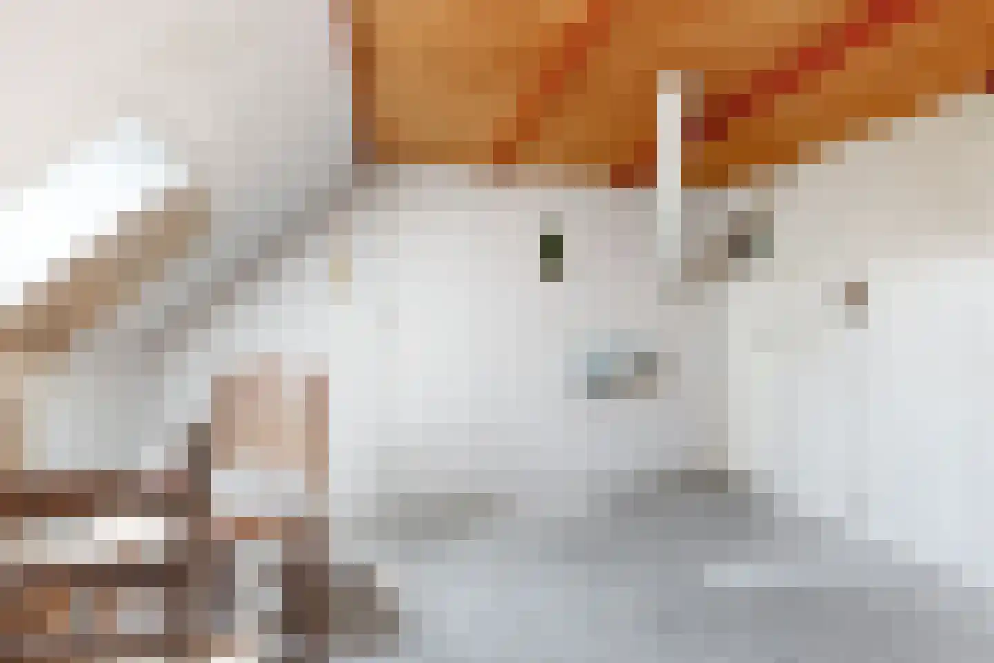 Monnickendammerjaagweg 5 Edam thumbnail 27