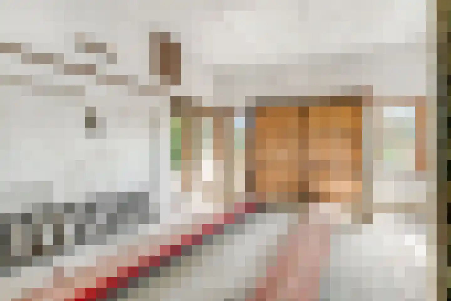 Monnickendammerjaagweg 5 Edam thumbnail 31