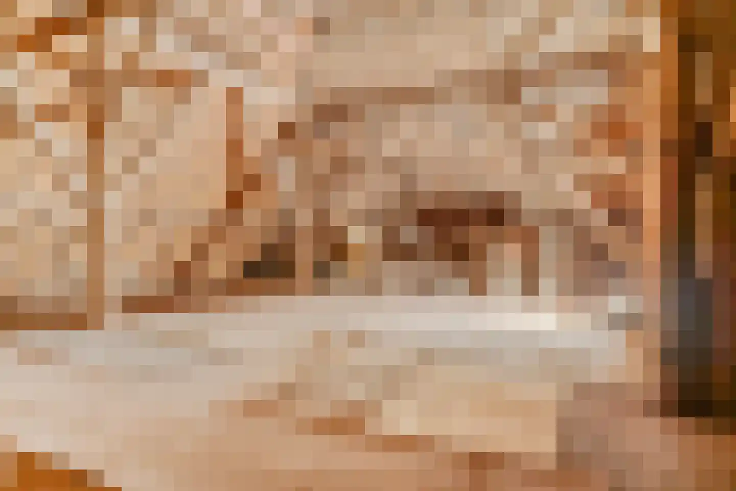 Monnickendammerjaagweg 5 Edam thumbnail 32