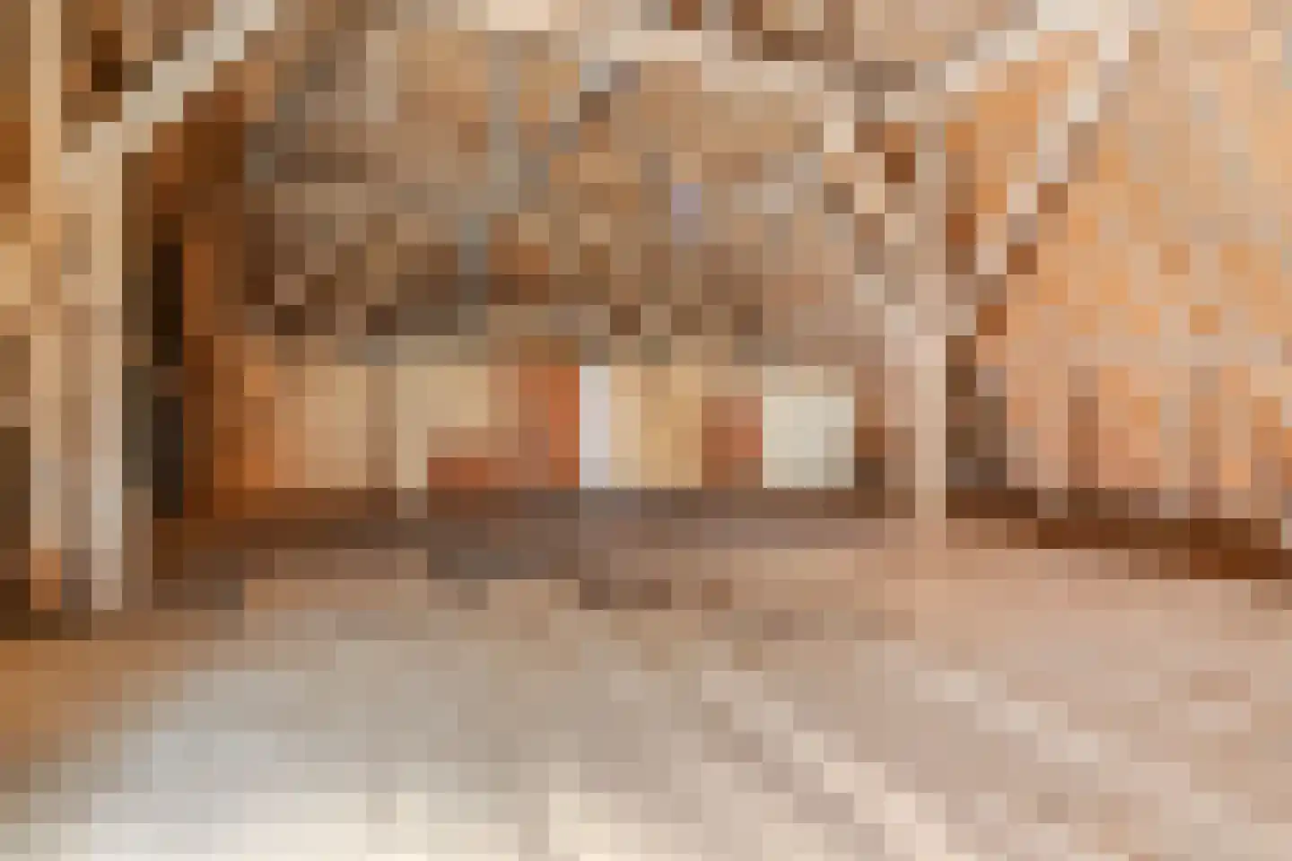 Monnickendammerjaagweg 5 Edam thumbnail 33