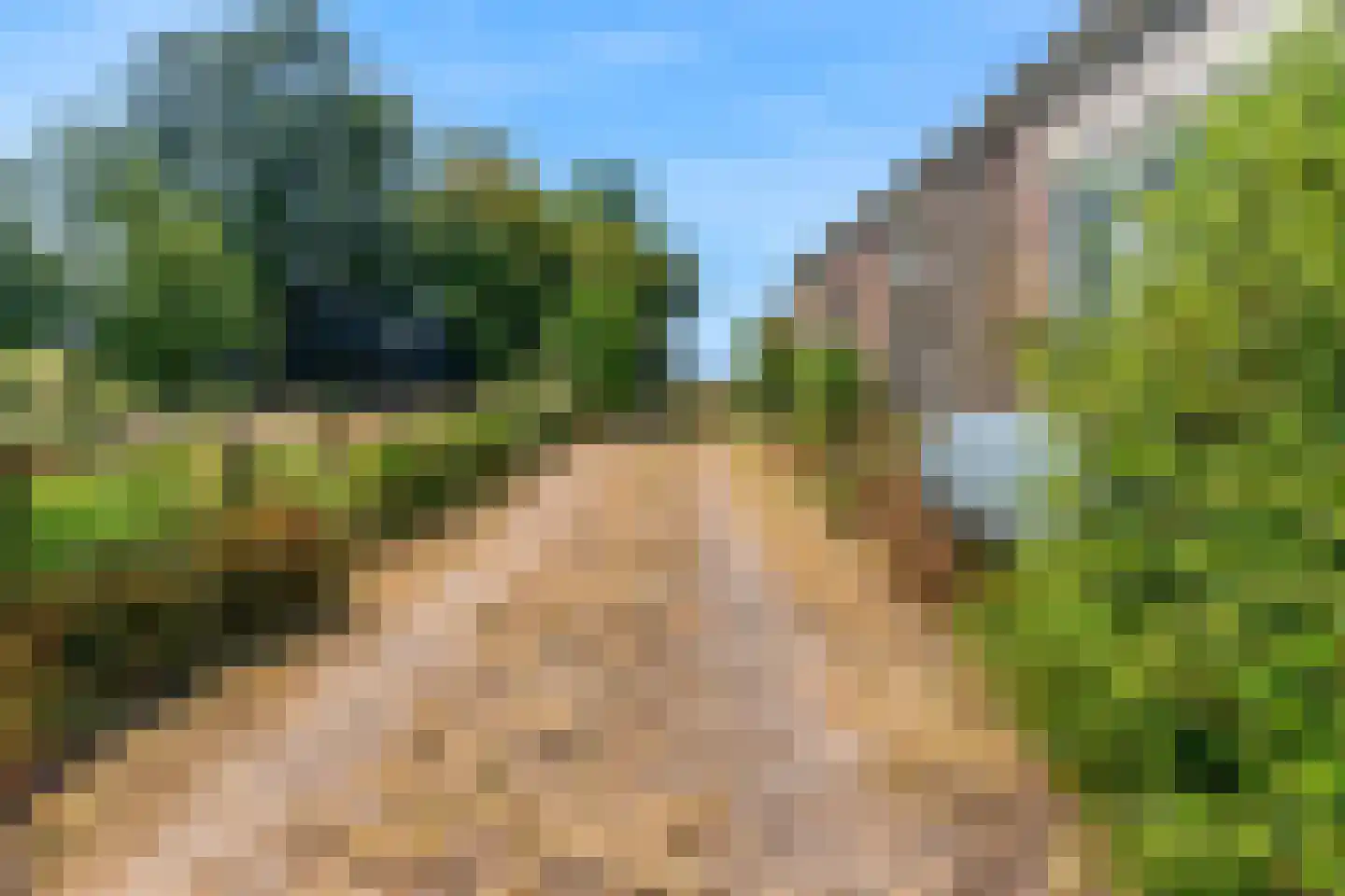 Monnickendammerjaagweg 5 Edam thumbnail 36