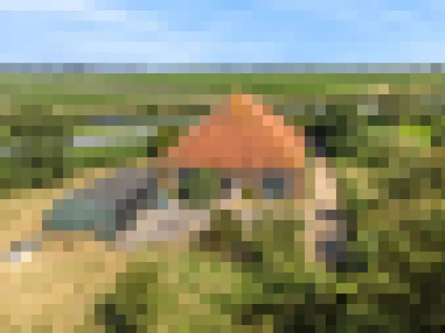 Monnickendammerjaagweg 5 Edam thumbnail 42