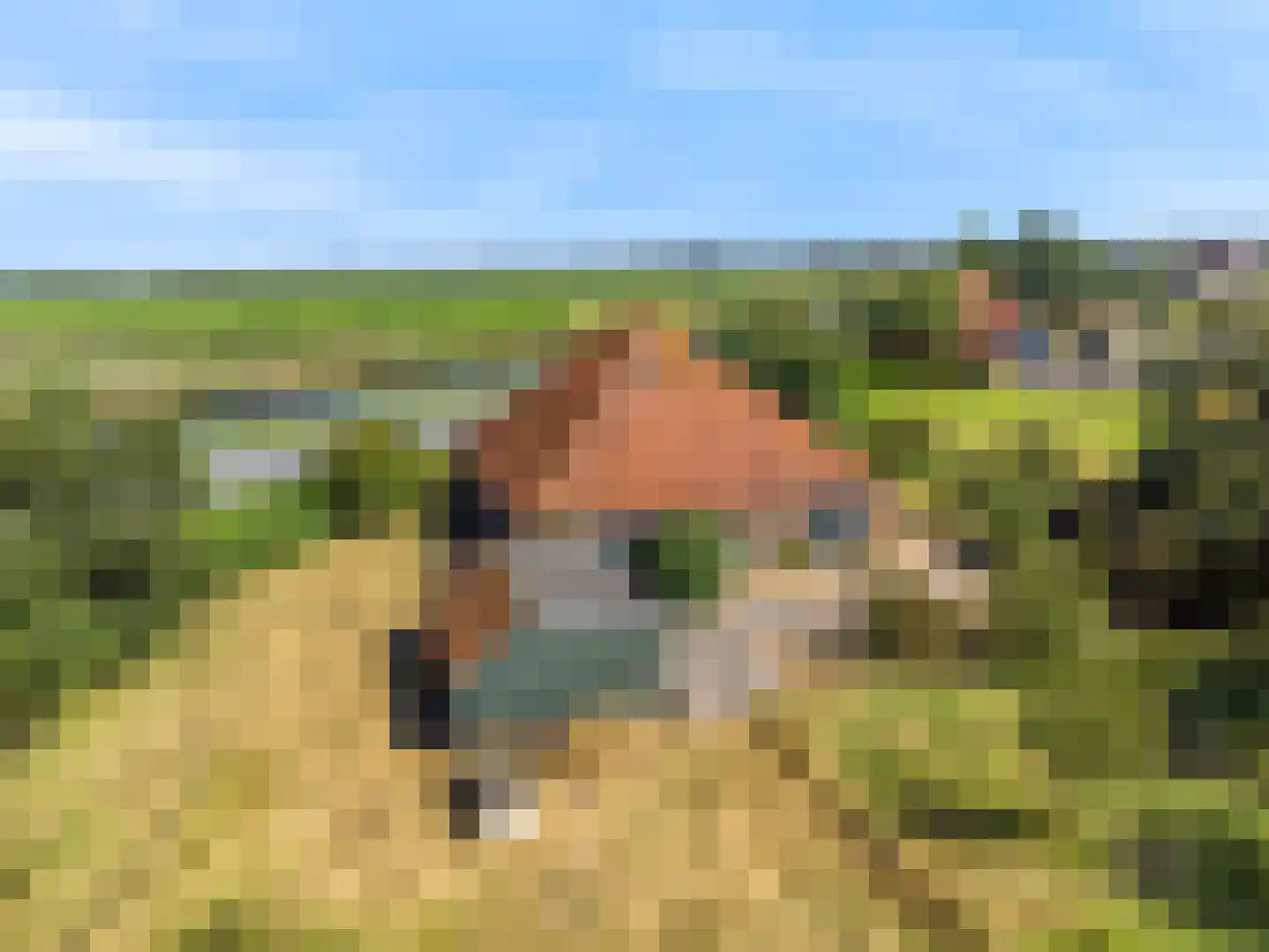 Monnickendammerjaagweg 5 Edam thumbnail 43