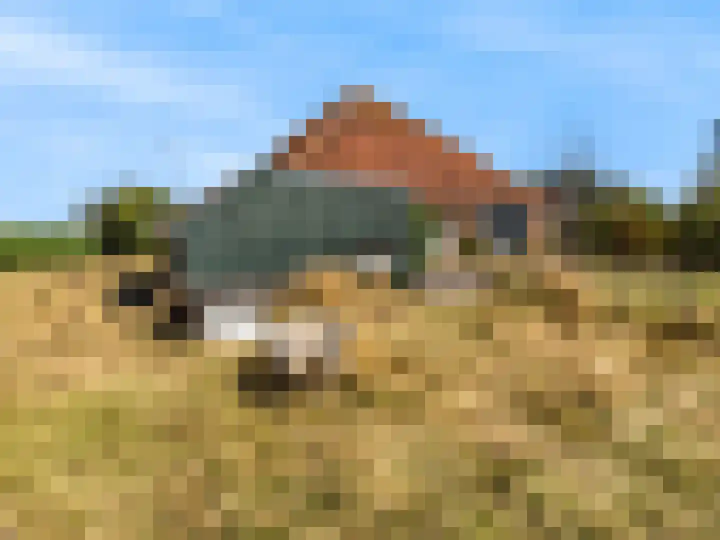 Monnickendammerjaagweg 5 Edam thumbnail 44