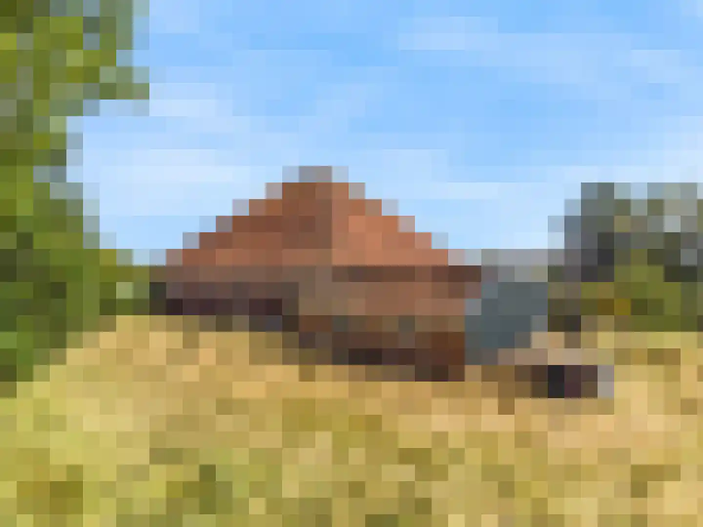 Monnickendammerjaagweg 5 Edam thumbnail 45