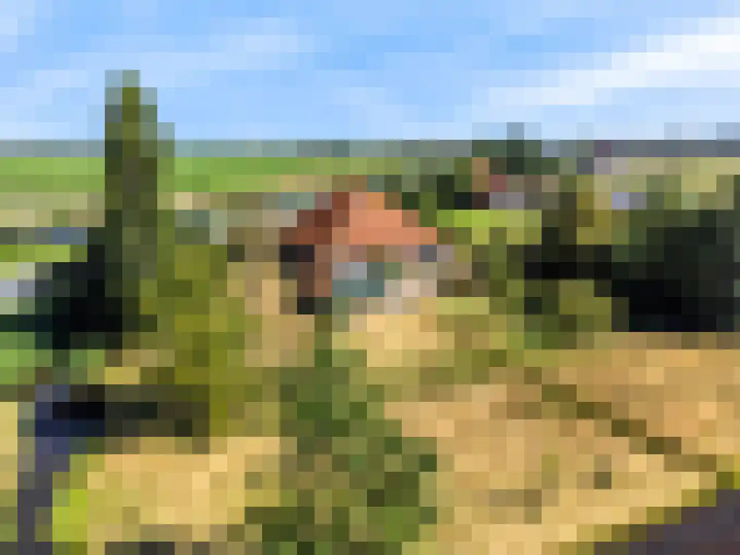 Monnickendammerjaagweg 5 Edam thumbnail 48