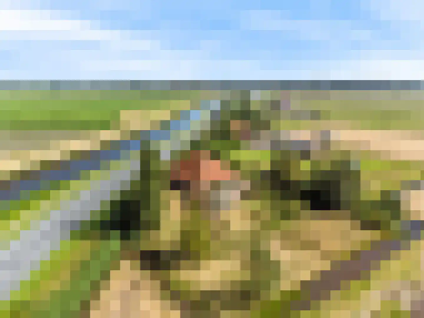 Monnickendammerjaagweg 5 Edam thumbnail 50
