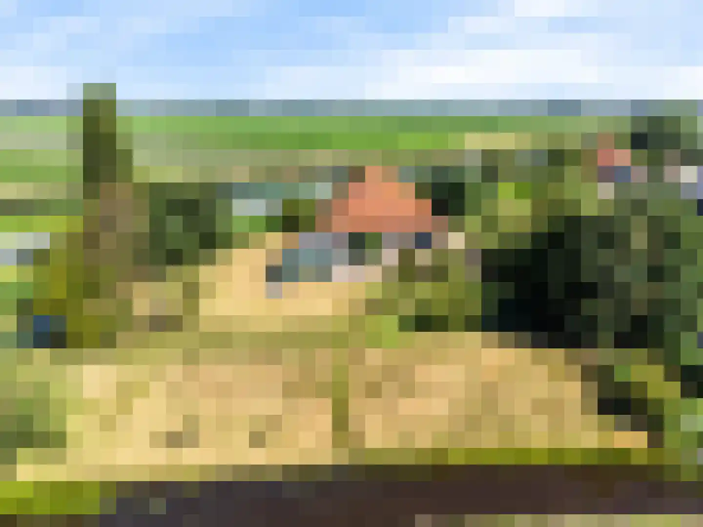 Monnickendammerjaagweg 5 Edam thumbnail 51