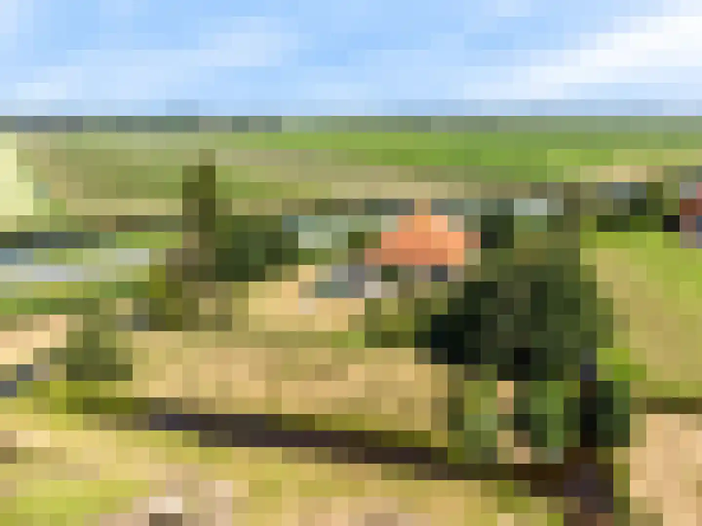 Monnickendammerjaagweg 5 Edam thumbnail 52