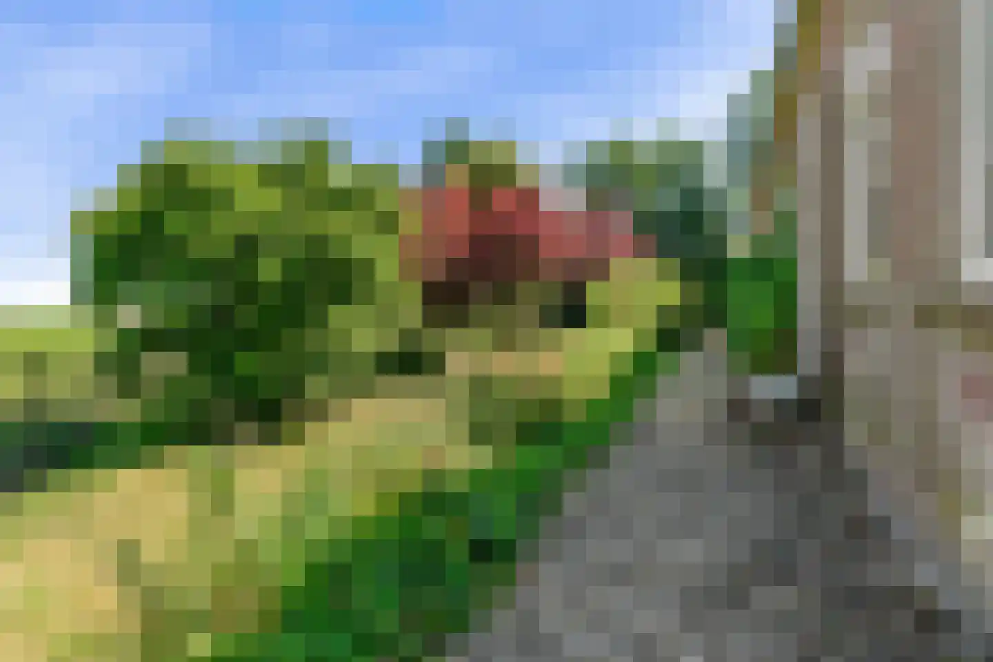 Monnickendammerjaagweg 5 Edam thumbnail 53