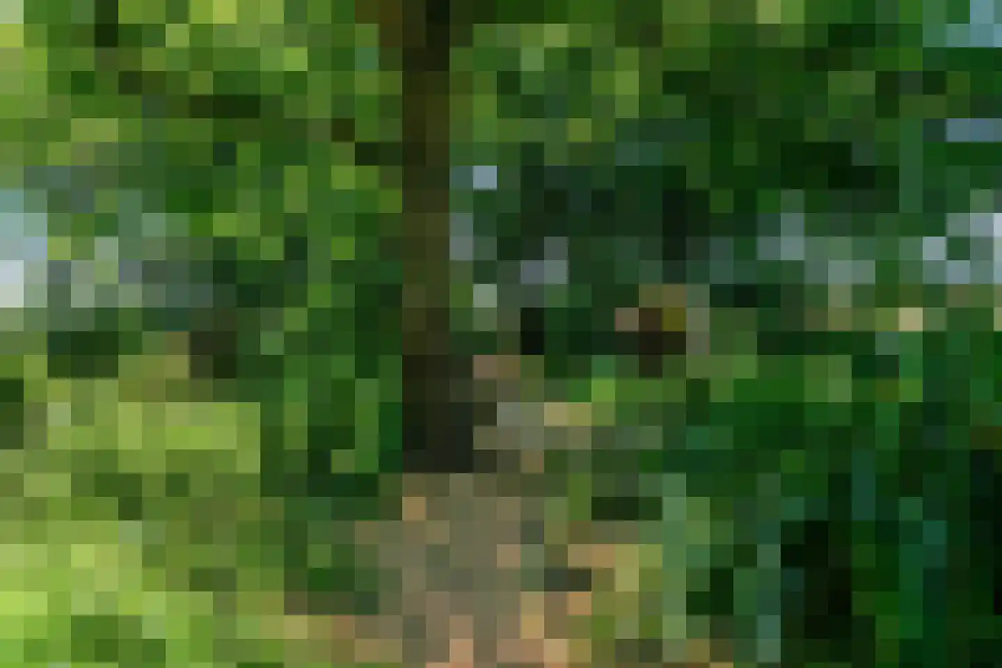 Monnickendammerjaagweg 5 Edam thumbnail 54