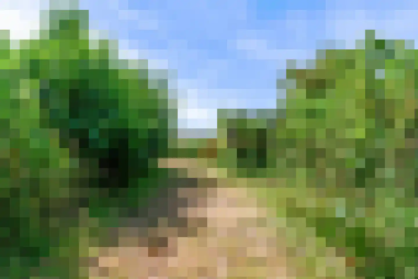 Monnickendammerjaagweg 5 Edam thumbnail 55
