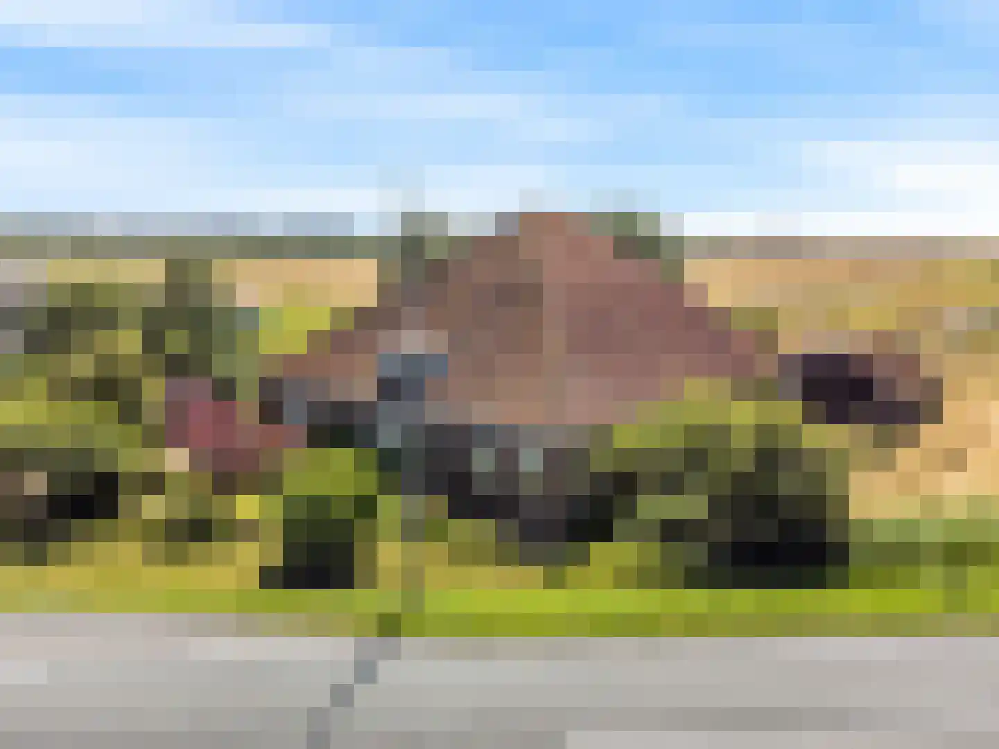 Monnickendammerjaagweg 5 Edam thumbnail 58