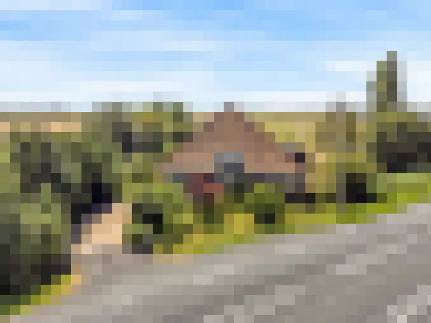 Monnickendammerjaagweg 5 Edam thumbnail 59