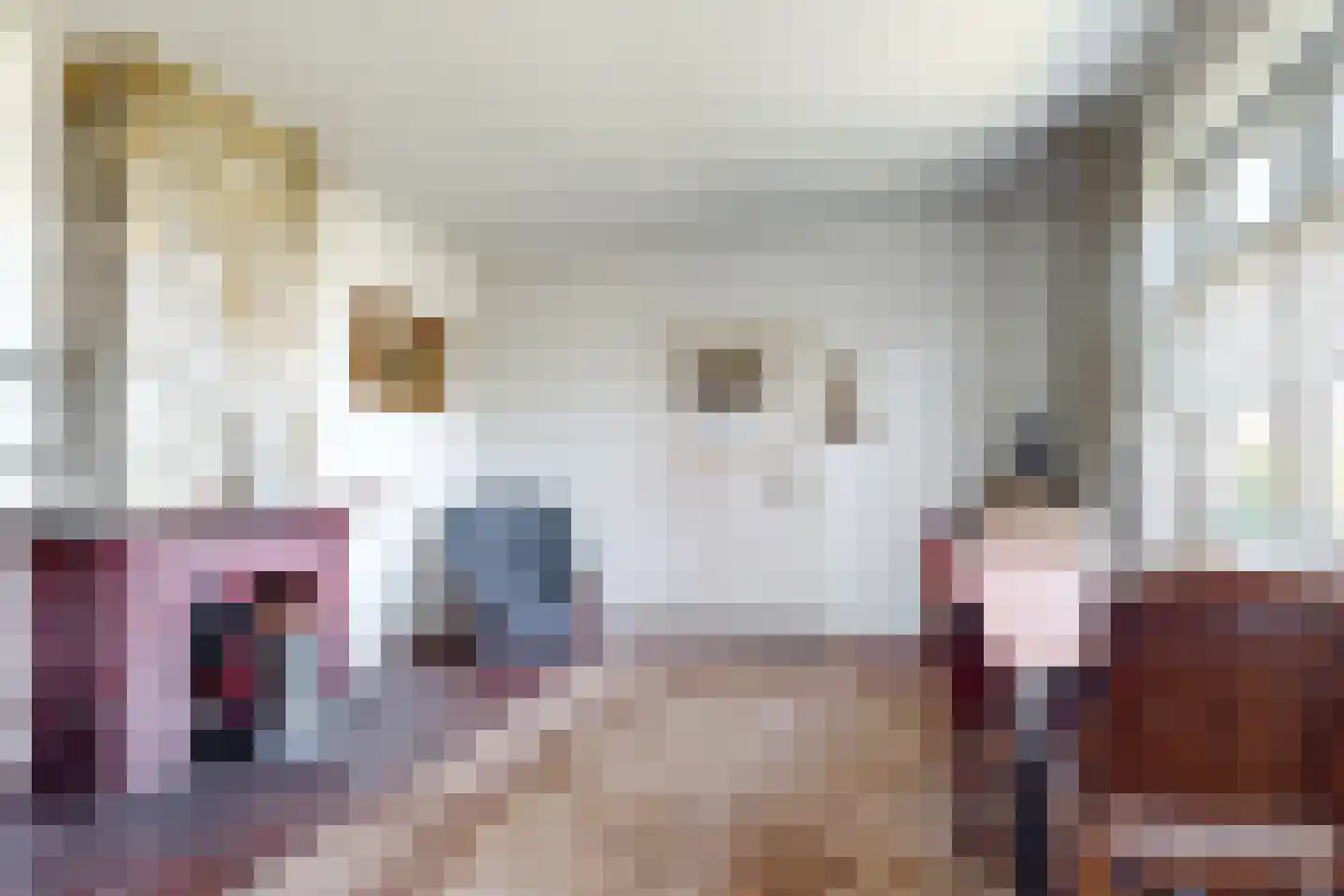 Monnickendammerjaagweg 5 Edam thumbnail 6