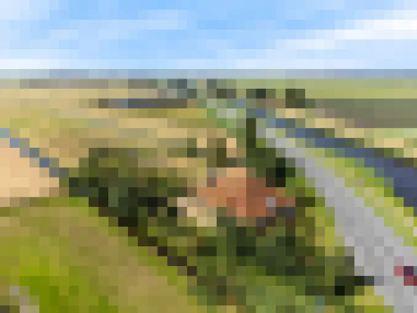 Monnickendammerjaagweg 5 Edam thumbnail 60