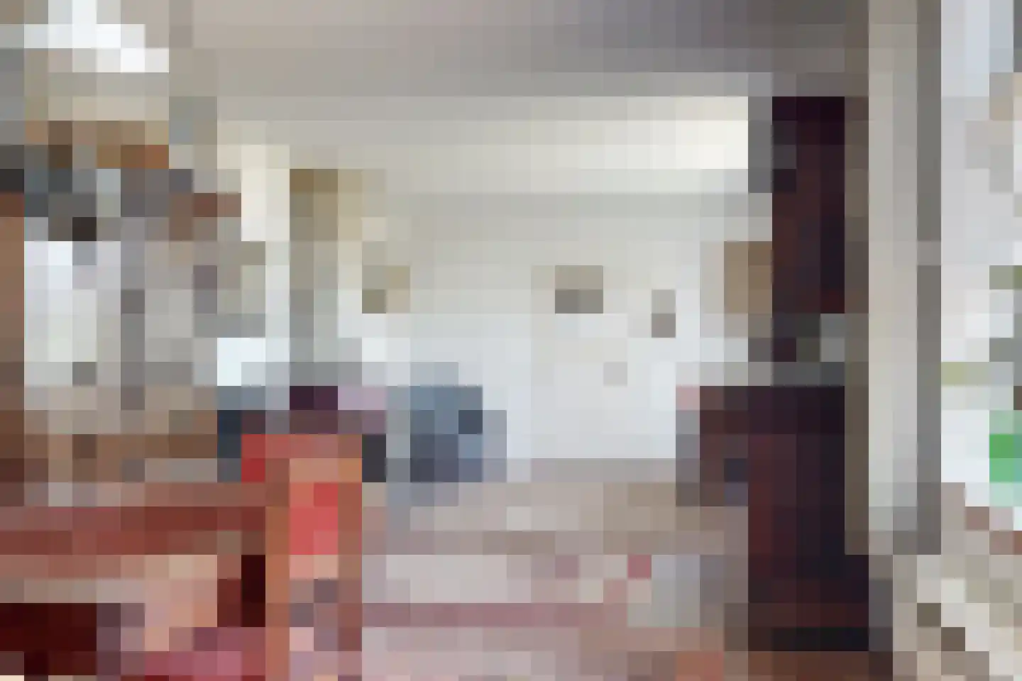 Monnickendammerjaagweg 5 Edam thumbnail 8