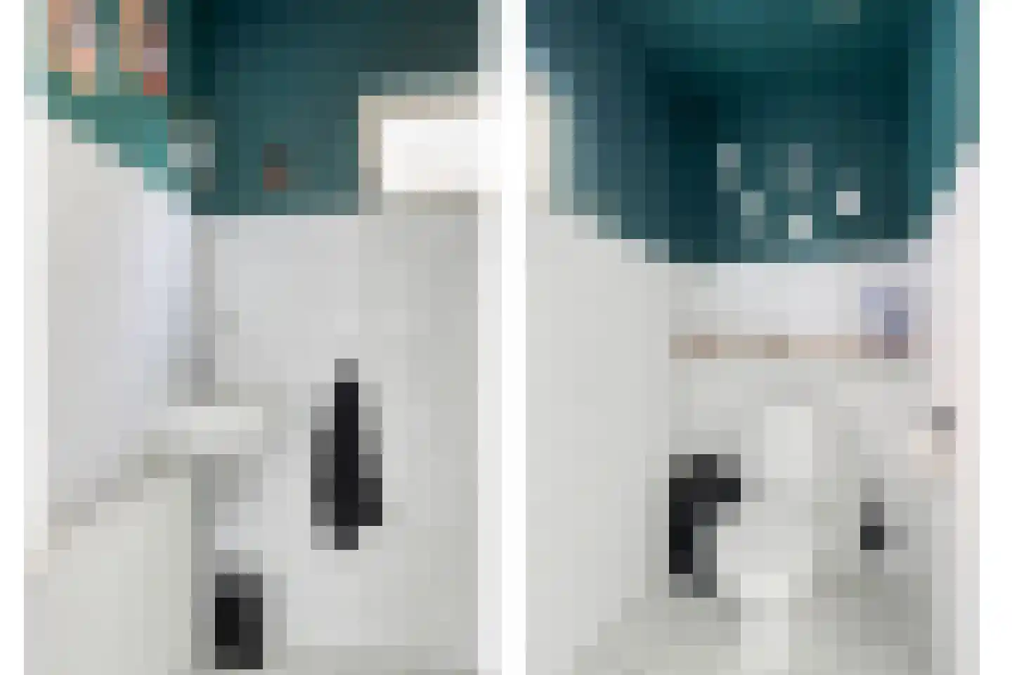 Monnickendammerrijweg 19 Ilpendam thumbnail 10