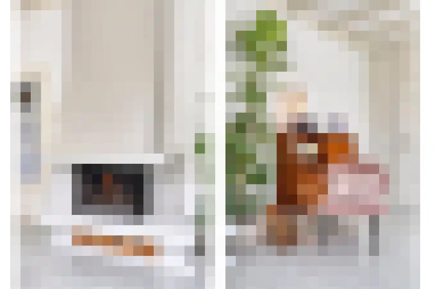Monnickendammerrijweg 19 Ilpendam thumbnail 12
