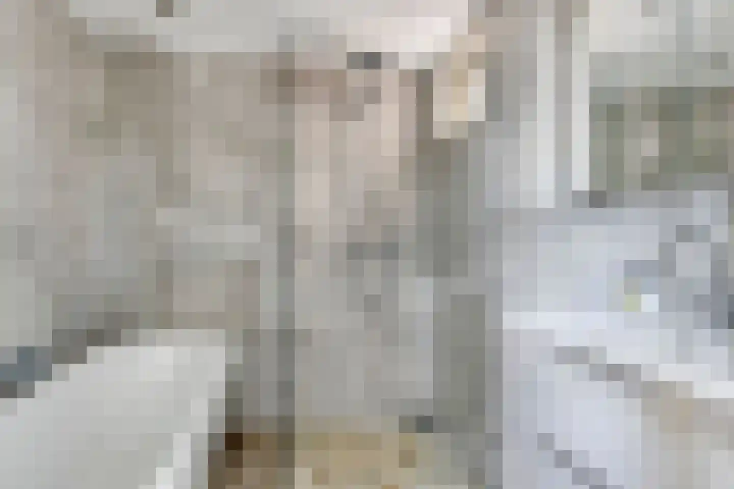 Monnickendammerrijweg 19 Ilpendam thumbnail 18