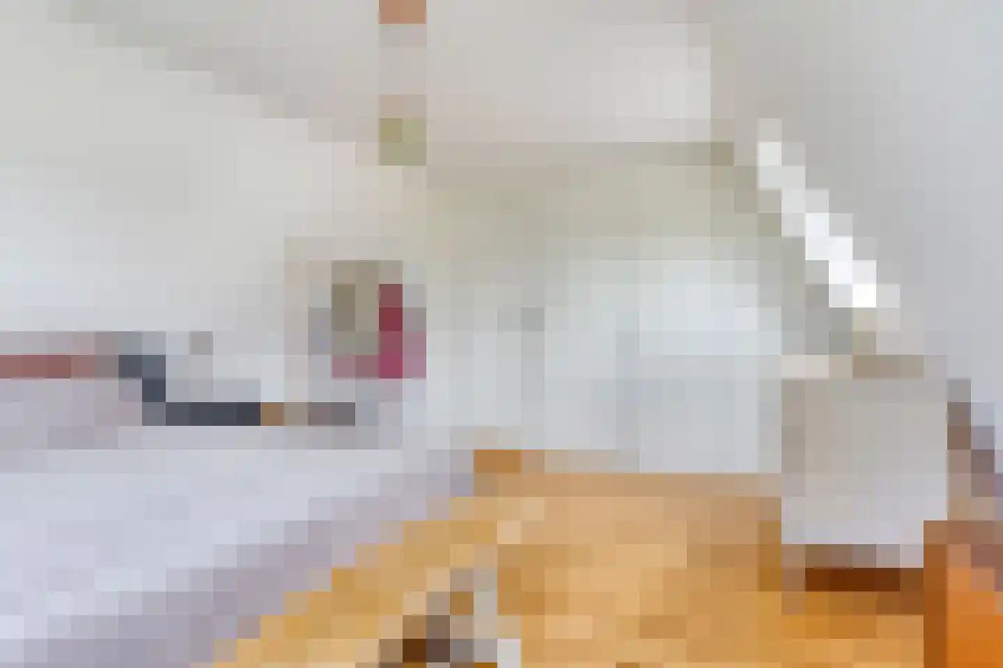 Monnickendammerrijweg 19 Ilpendam thumbnail 22