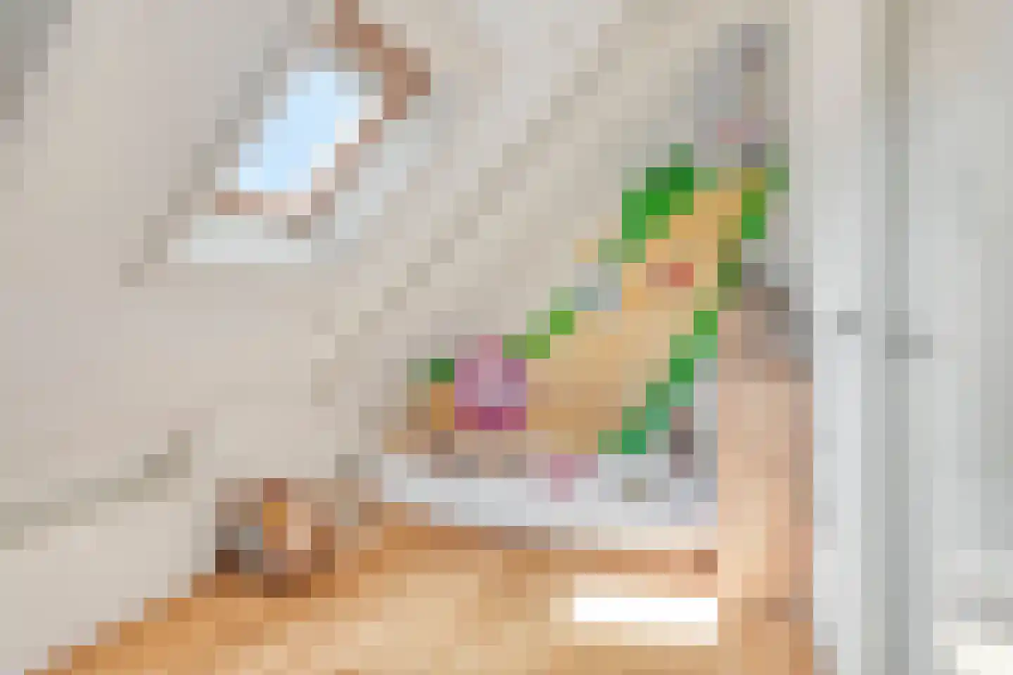 Monnickendammerrijweg 19 Ilpendam thumbnail 25