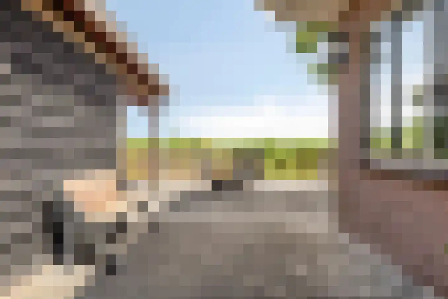 Monnickendammerrijweg 19 Ilpendam thumbnail 28