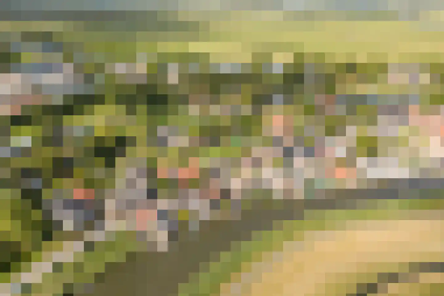 Monnickendammerrijweg 19 Ilpendam thumbnail 33