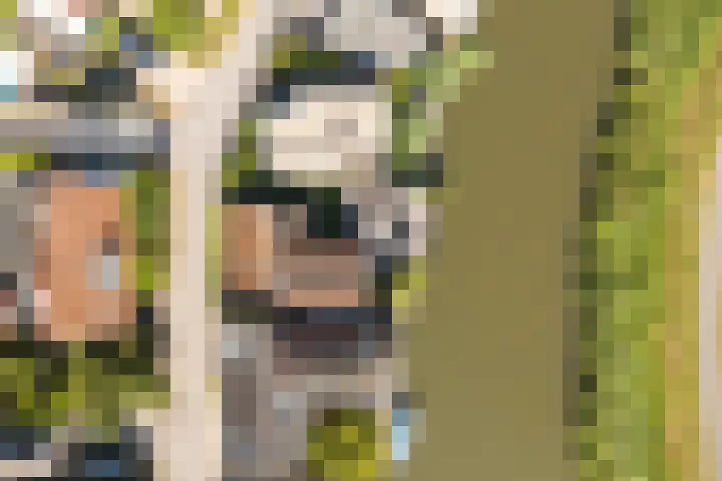 Monnickendammerrijweg 19 Ilpendam thumbnail 35