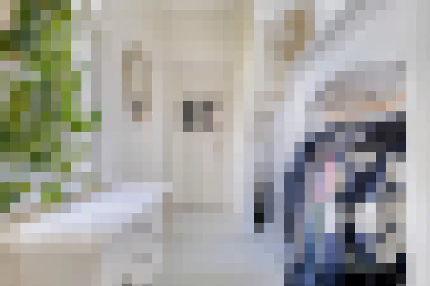 Monnickendammerrijweg 19 Ilpendam thumbnail 9