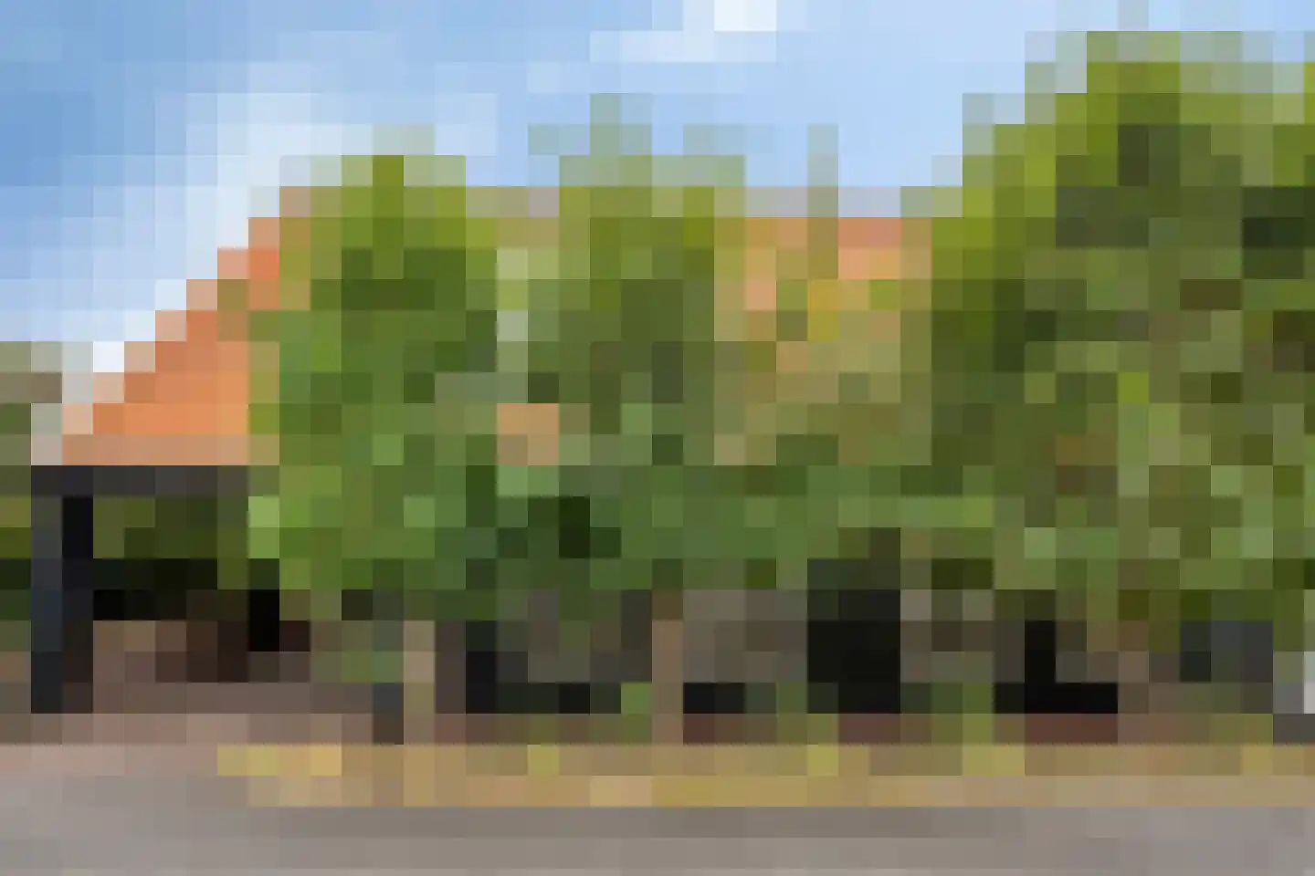 Monnickendammerrijweg 20 Ilpendam thumbnail 10