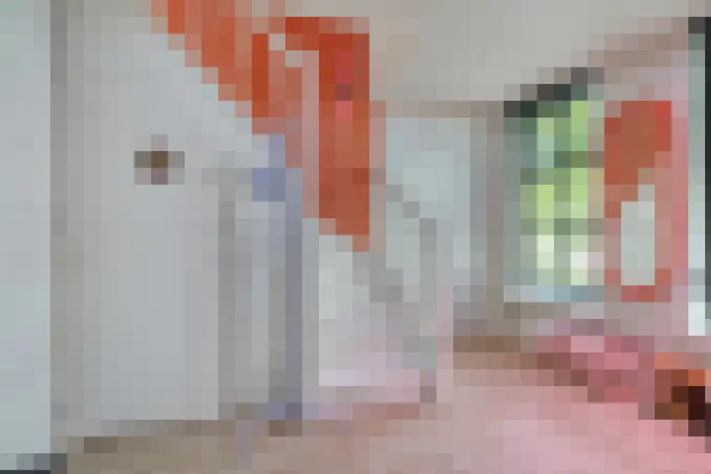 Monnickendammerrijweg 20 Ilpendam thumbnail 13