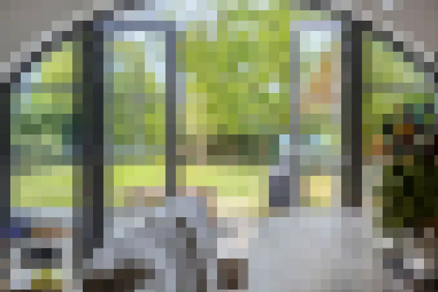 Monnickendammerrijweg 20 Ilpendam thumbnail 18