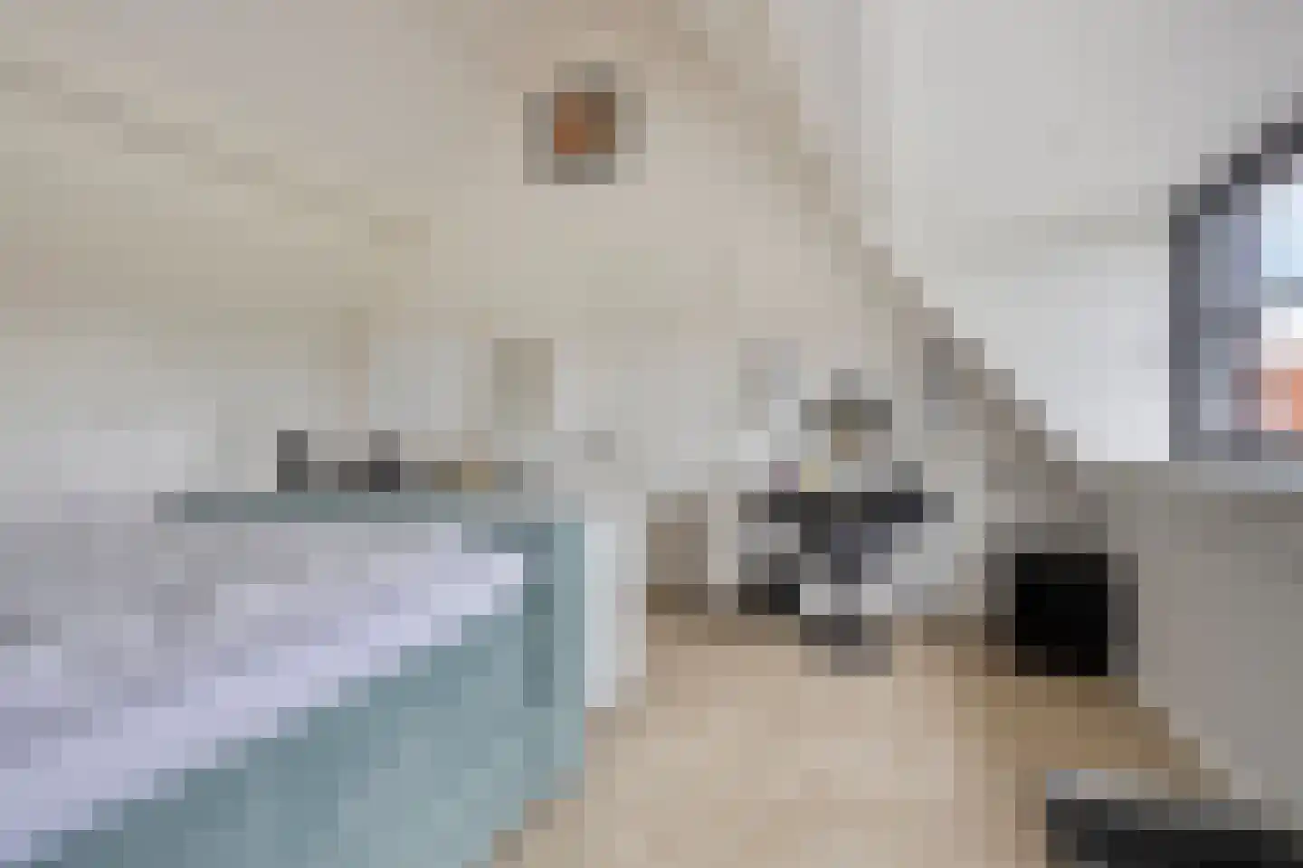 Monnickendammerrijweg 20 Ilpendam thumbnail 27