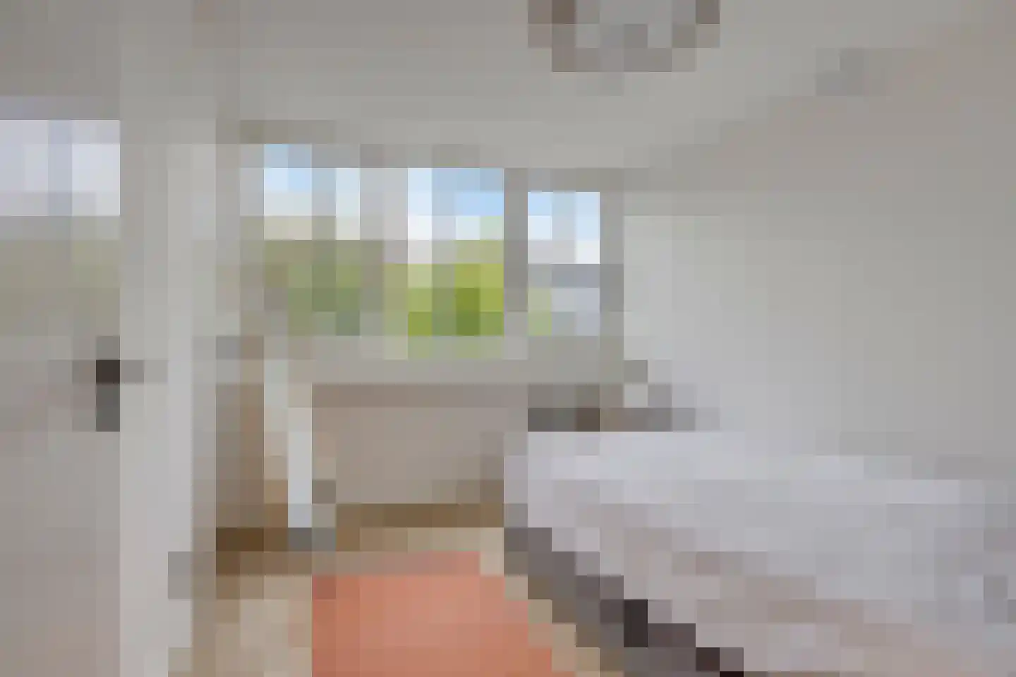 Monnickendammerrijweg 20 Ilpendam thumbnail 29