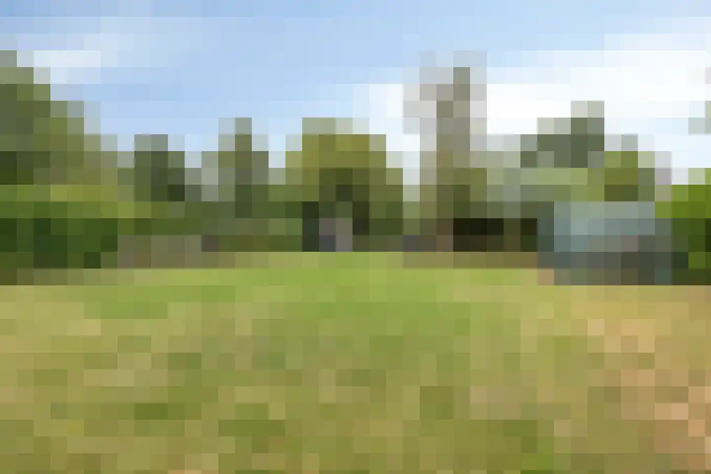 Monnickendammerrijweg 20 Ilpendam thumbnail 37
