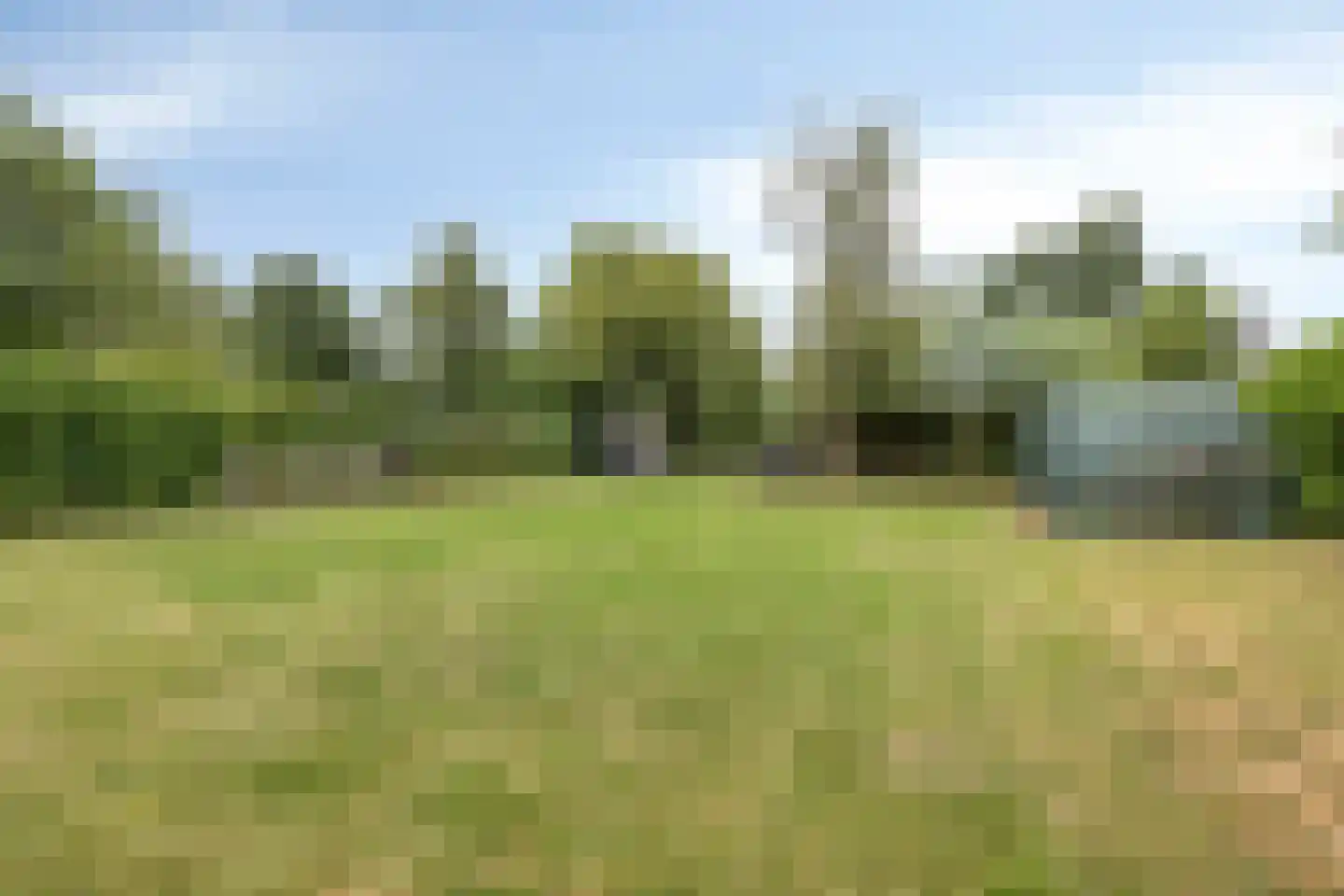 Monnickendammerrijweg 20 Ilpendam thumbnail 38