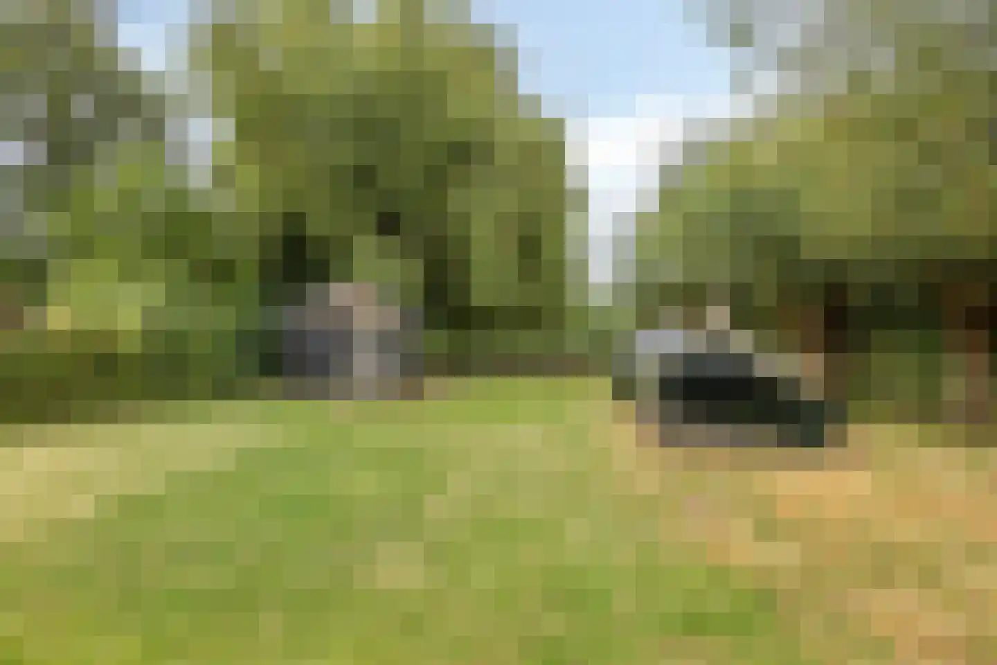 Monnickendammerrijweg 20 Ilpendam thumbnail 39