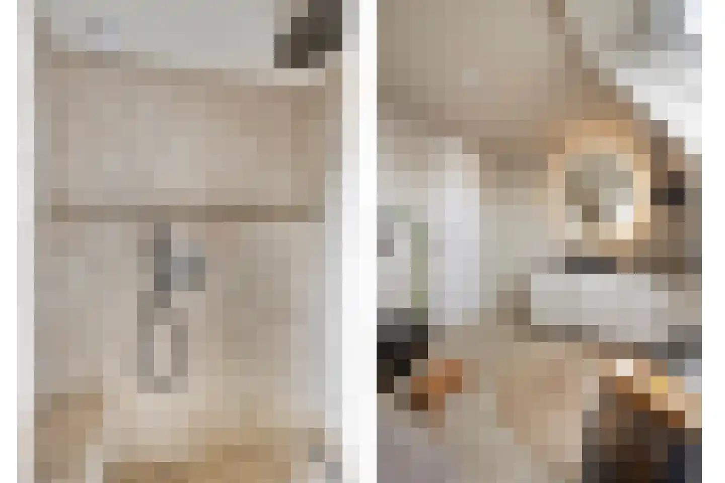 Monnickendammerrijweg 20 Ilpendam thumbnail 6