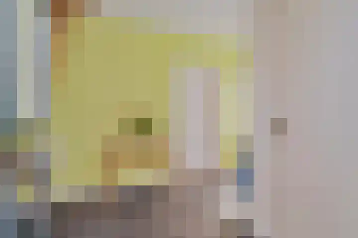 Monnickendammerrijweg 25 Ilpendam thumbnail 11