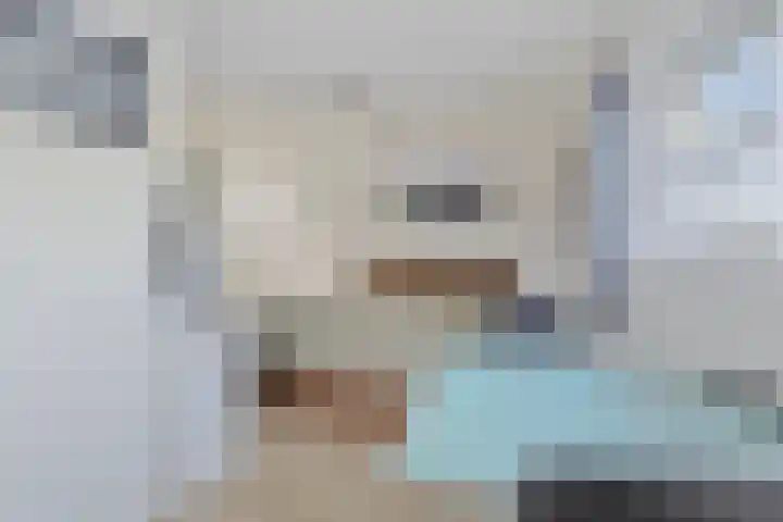 Monnickendammerrijweg 25 Ilpendam thumbnail 17